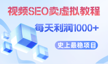 （6509期）视频SEO出售虚拟产品 每天稳定2-5单 利润1000+ 史上最稳定私域变现项目