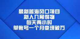 （6514期）最新蓝海风口项目，新人入局得物，每天两小时，单账号一个月变现破万