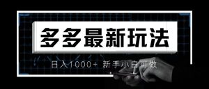 （6699期）价值4980的拼多多最新玩法，月入3w【新手小白必备项目】