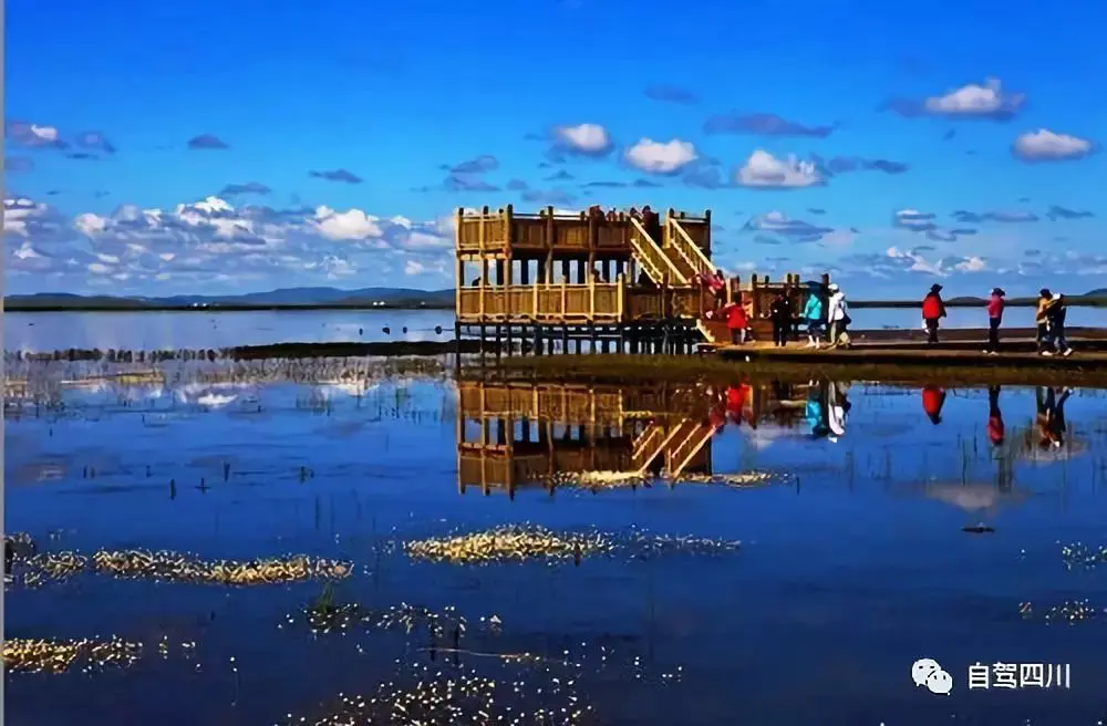 若尔盖海拔是多少米-走遍天下，最美湿地若尔盖