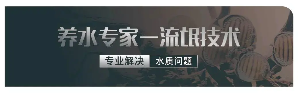 新鱼缸如何开缸养水-广兴鱼缸-流氓开缸记