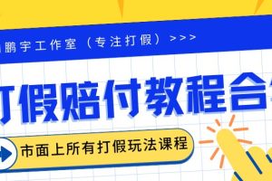 （6425期）2023年全套打假合集，集合市面所有正规打假玩法（非正规打假的没有）