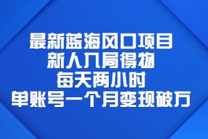 （6514期）最新蓝海风口项目，新人入局得物，每天两小时，单账号一个月变现破万