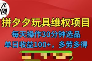 （6593期）拼多多3C玩具维权项目，一天操作半小时，稳定收入100+（仅揭秘）