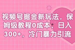 （6802期）视频号掘金新玩法，保姆级教程0成本，日入300+，冷门暴力引流