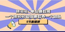 （7019期）拼多多·单品爆款班，一个拼多多超级爆款养一个团队（5节直播课）