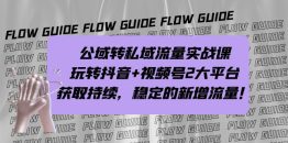 （7064期）公域转私域流量实战课，玩转抖音+视频号2大平台，获取持续，稳定的新增流量