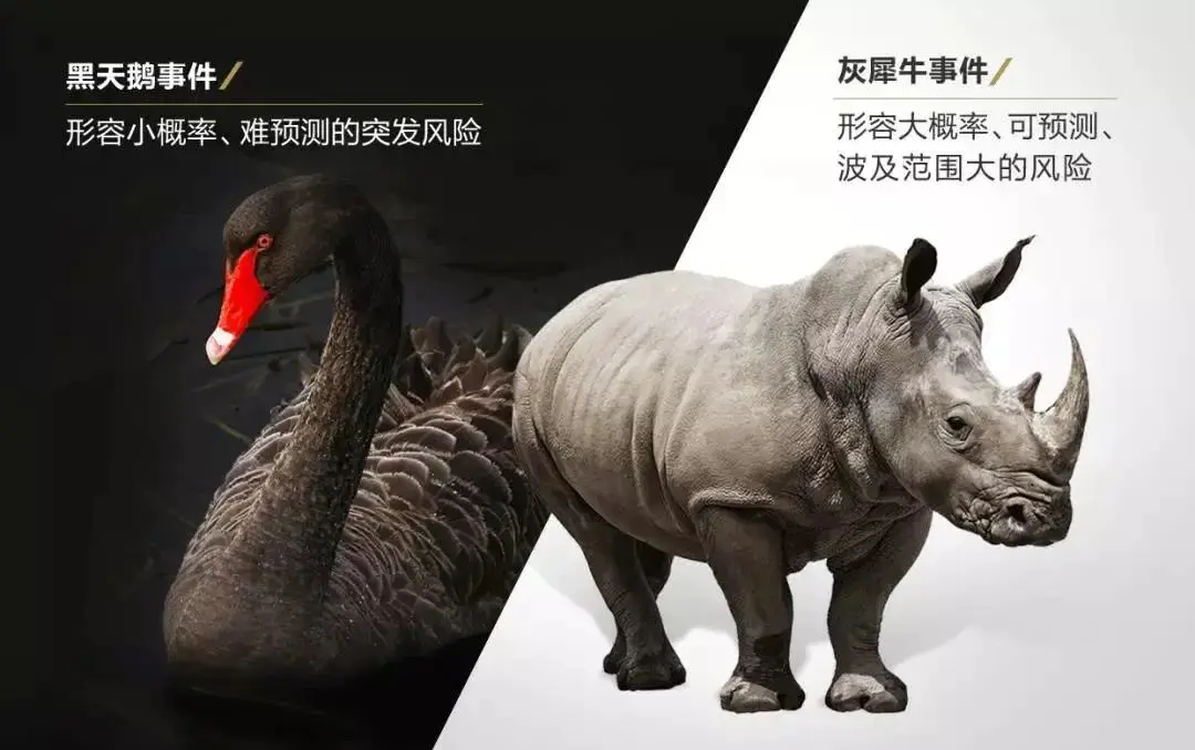 黑天鹅灰犀牛事件是什么意思-【常识】“黑天鹅和灰犀牛事件”考点汇总