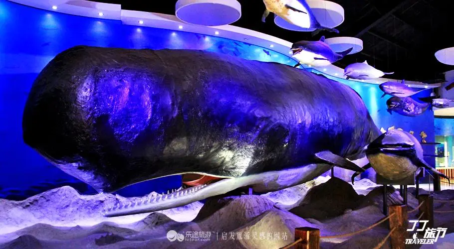 青岛海底世界，蕴藏着大海无穷的奇妙