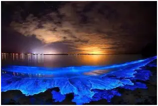 波多黎各属于哪个国家-波多黎各公投，现代人的国家归属