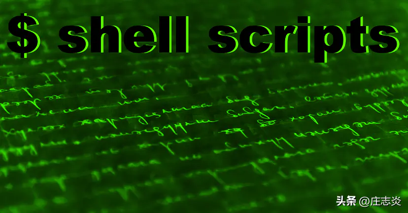 脚本格式模板-七爪源码：利用 Shell 脚本自动化命令的 5 种方法