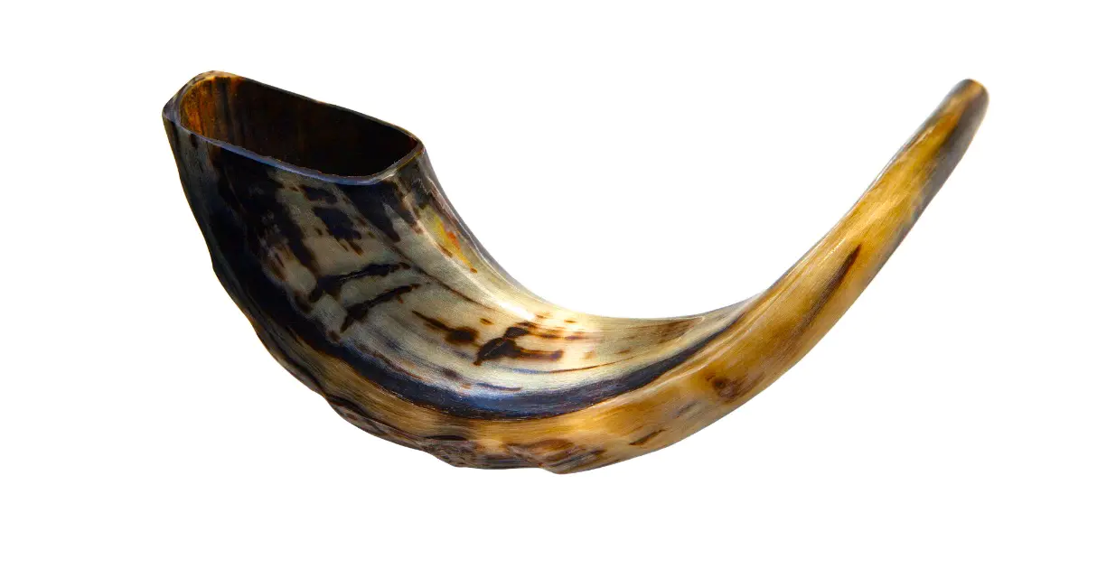 26个希腊字母的读法-26个英文字母的起源（下）