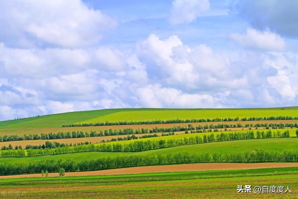 心平气和， 必有所得