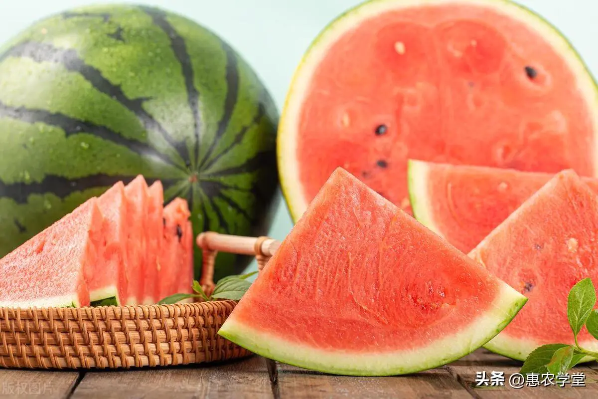 夏季必吃！冰糖麒麟西瓜多少钱一斤？快来查看！