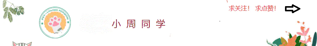 班得瑞最好听的10首曲子仙境-一起听吧。