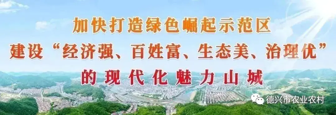 农产品销售平台-积极参加省农产品对接销售平台和商超餐饮专项视频培训班