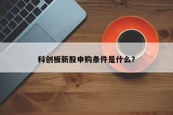 网上股-科创板第一股今日网上申购 个人散户如何分享“盛宴”