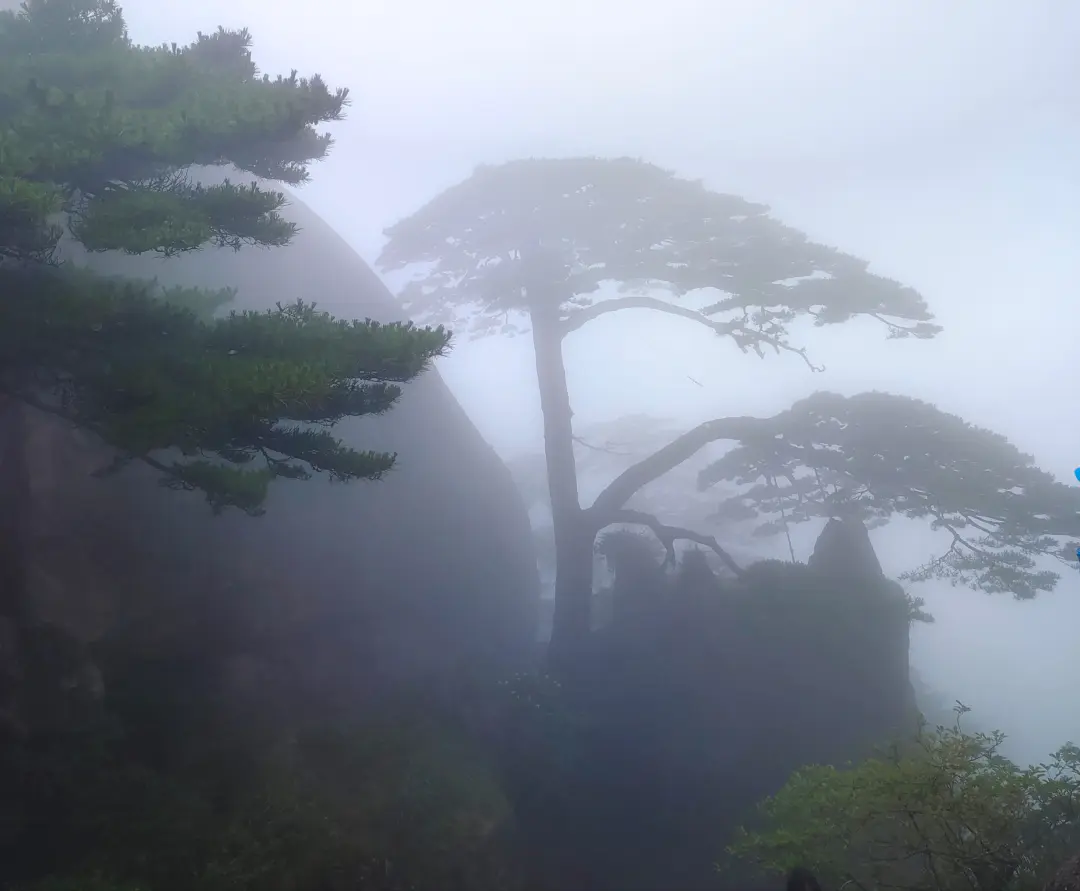 爬黄山大概需要几个小时-【文苑天地】雨中游黄山