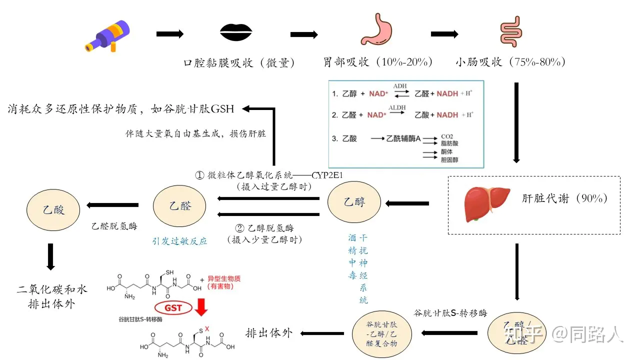 打卡丨生理盐水的浓度是多少？