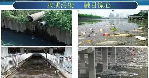 国家不建议装净水器-连鱼都长肿瘤了，你还不装净水机！？不要再拿自己身体当过滤器了！