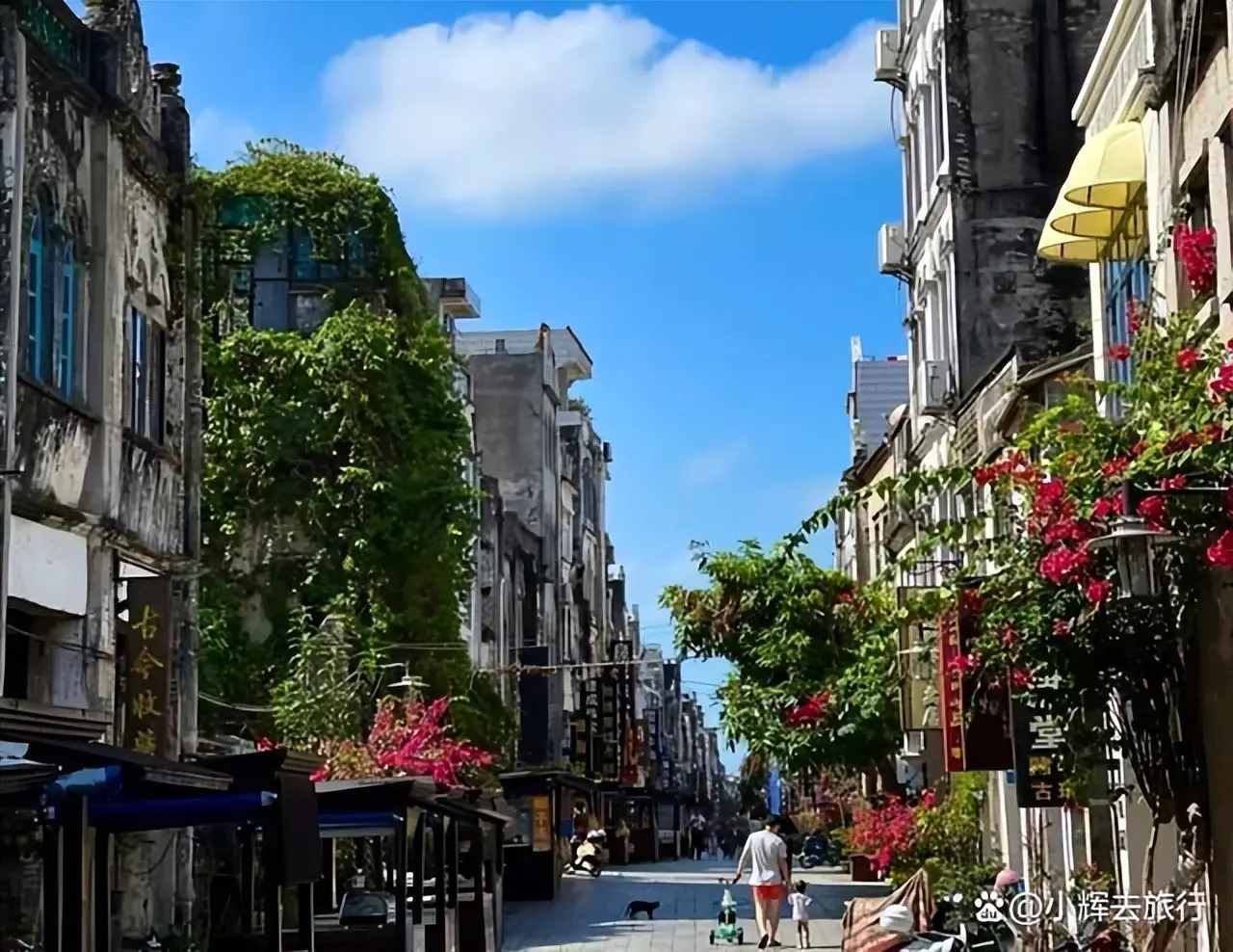 北海在哪里属于哪个城市-广西的这座城市，很适合老人冬季去旅居养老，性价比不亚于北海市