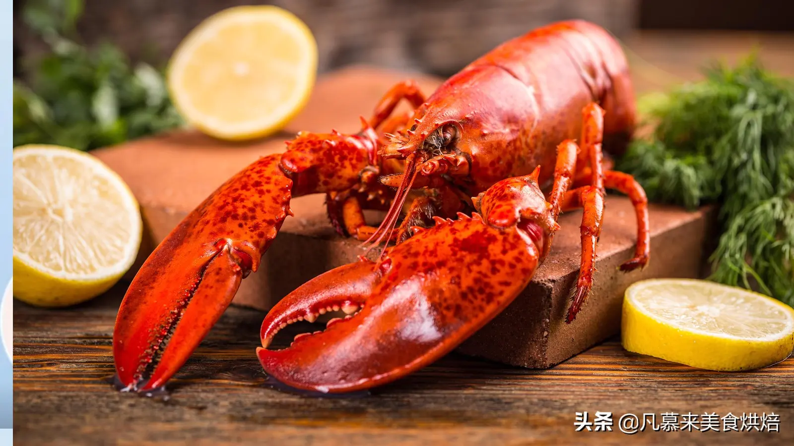 小龙虾吃什么-龙虾是什么生物？为什么这么多人喜欢吃？你不知道的龙虾冷知识