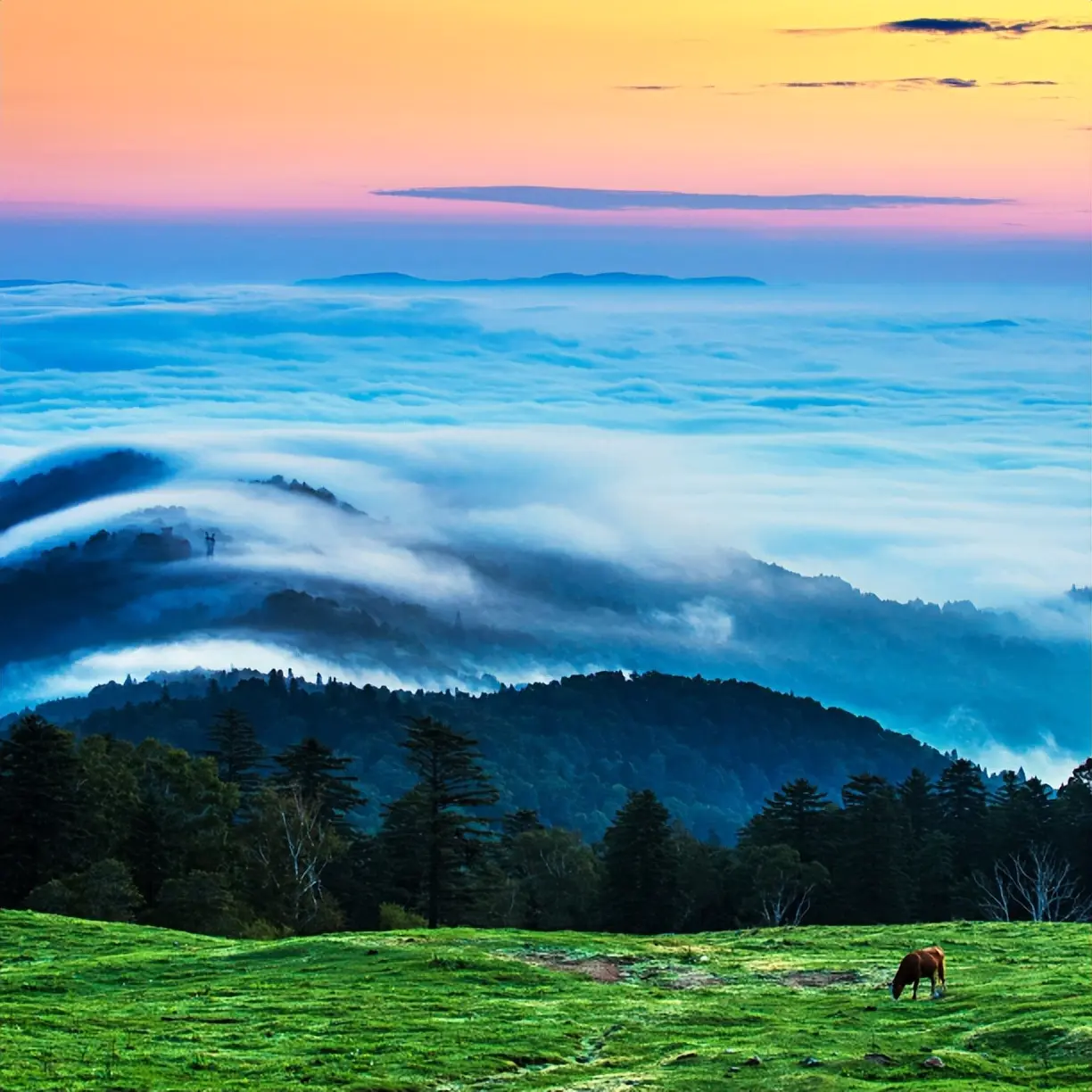 东北旅游景点-三条旅游线路，十个网红打卡地！去白山，这篇攻略足够了→