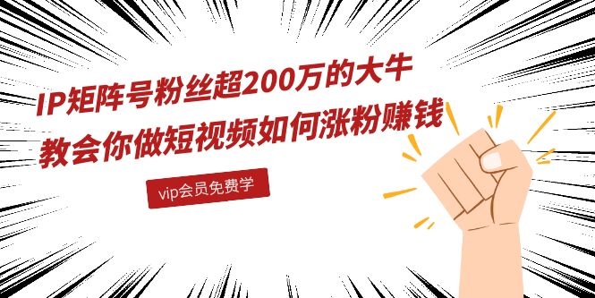 （1089期）IP矩阵号粉丝超200万的大牛：教会你做短视频如何涨粉赚钱（全套课程）