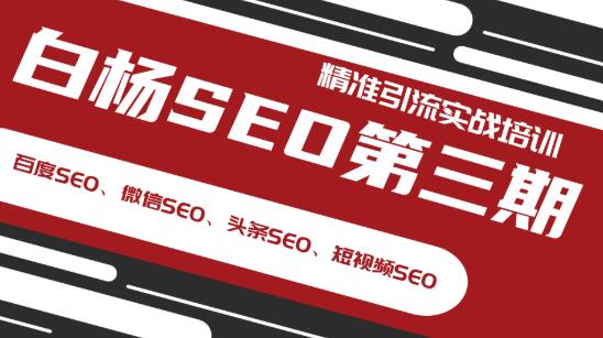 （1240期）白杨SEO第三期精准引流实战培训（百度SEO、微信SEO、头条SEO、短视频SEO）