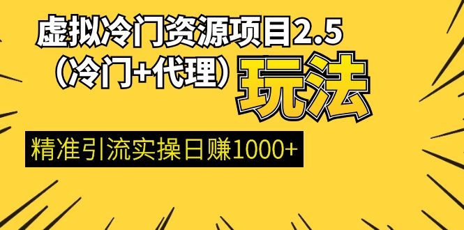 （1249期）虚拟冷门资源项目2.5（冷门&代理玩法） 精准引流实操日赚1000+