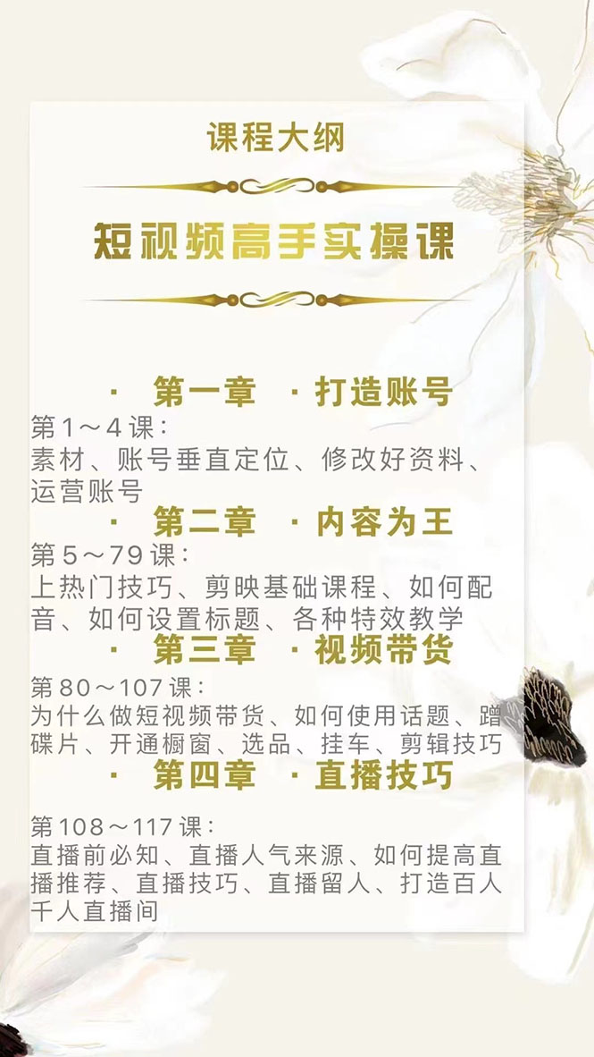 （2889期）短视频高手实操课：从入门到精通，账号+运营+直播，应有尽有！