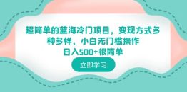 （6422期）超简单的蓝海冷门项目，变现方式多种多样，小白无门槛操作日入500+很简单