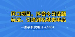 （6588期）风口项目，抖音今日话题玩法，引流到私域卖单品，一部手机实现日入500+