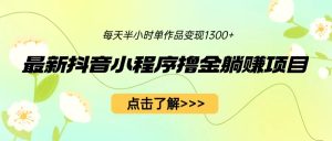 （6613期）最新抖音小程序撸金躺赚项目，一部手机每天半小时，单个作品变现1300+