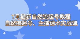 （6748期）7月最新自然流起号教程，自然流起号、主播话术实战课