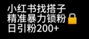 （6807期）小红书找搭子暴力精准锁粉+引流日引200+精准粉