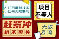 （6862期）小红书8月最新技术无限曝光亲测单账号日引精准粉100+无压力（脚本＋教程）