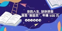 （6866期）某高赞电子书《你的 人生，缺块 拼图——我靠“割韭菜”，年赚 500 万》