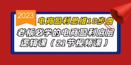 （6899期）电商盈利-思维10步曲，老板必学的电商盈利底层逻辑课（21节视频课）