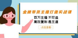 （7134期）金牌带货主播打造实战课：百万主播 不可追，高效复制 是王道（10节课）