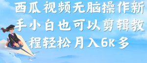 （7206期）西瓜视频搞笑号，无脑操作新手小白也可月入6K