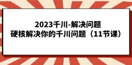 （7214期）2023千川-解决问题，硬核解决你的千川问题（11节课）