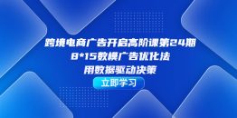 （7279期）跨境电商-广告开启高阶课第24期，8*15数模广告优化法，用数据驱动决策