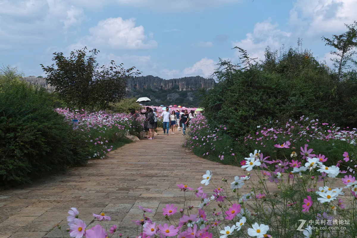 曲靖旅游景点-曲靖去石林旅游攻略