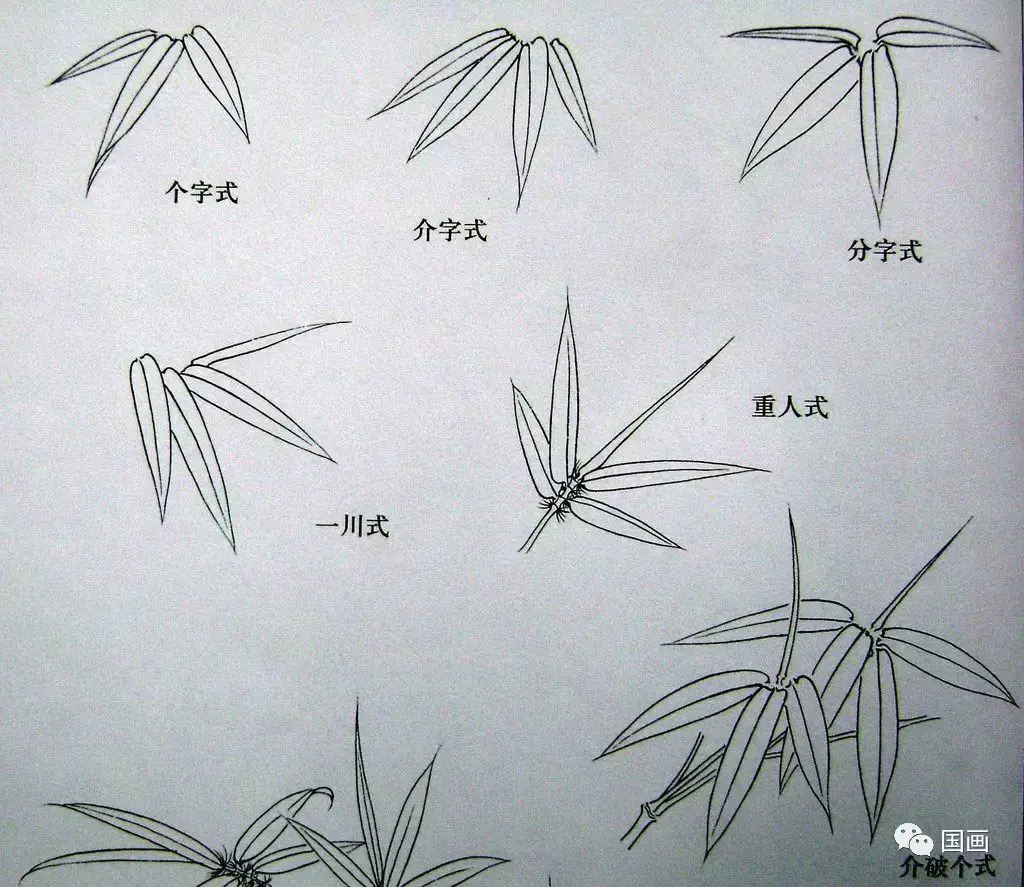 工笔竹子画法步骤，好学实用！