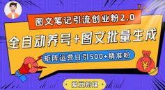 爱豆新媒：全自动养号+图文批量生成，日引500+创业粉（抖音小红书图文笔记2.0）