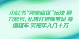 小红书“神童降世”玩法 暴力起号,私域打造聚宝盆 弯道超车 实现年入几十万