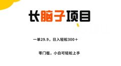 长脑子项目，一单29.9，日入轻松300＋，零门槛操作