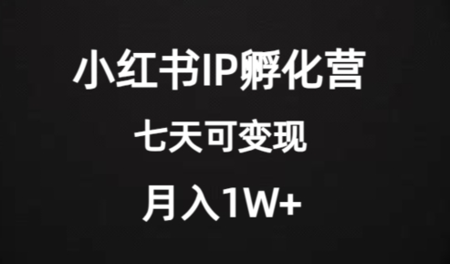 价值2000+的小红书IP孵化营项目，超级大蓝海，七天即可开始变现，稳定月入1W+