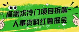 高需求冷门项目拆解-红薯人事资料掘金